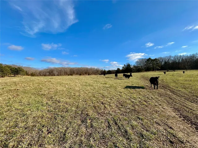 $280,000 | 0 Tbd Tract 5 Highway, Salem, MO 65560