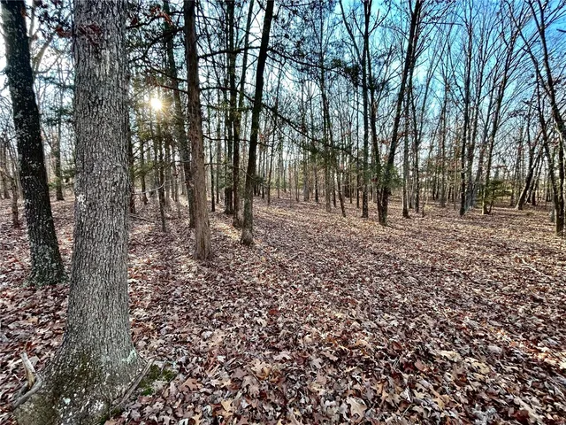 $280,000 | 0 Tbd Tract 5 Highway, Salem, MO 65560