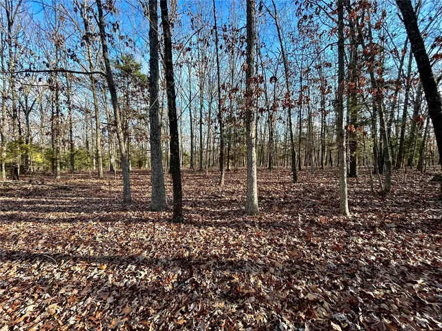 $280,000 | 0 Tbd Tract 5 Highway, Salem, MO 65560