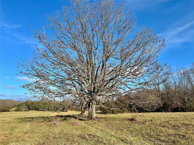 $280,000 | 0 Tbd Tract 5 Highway, Salem, MO 65560