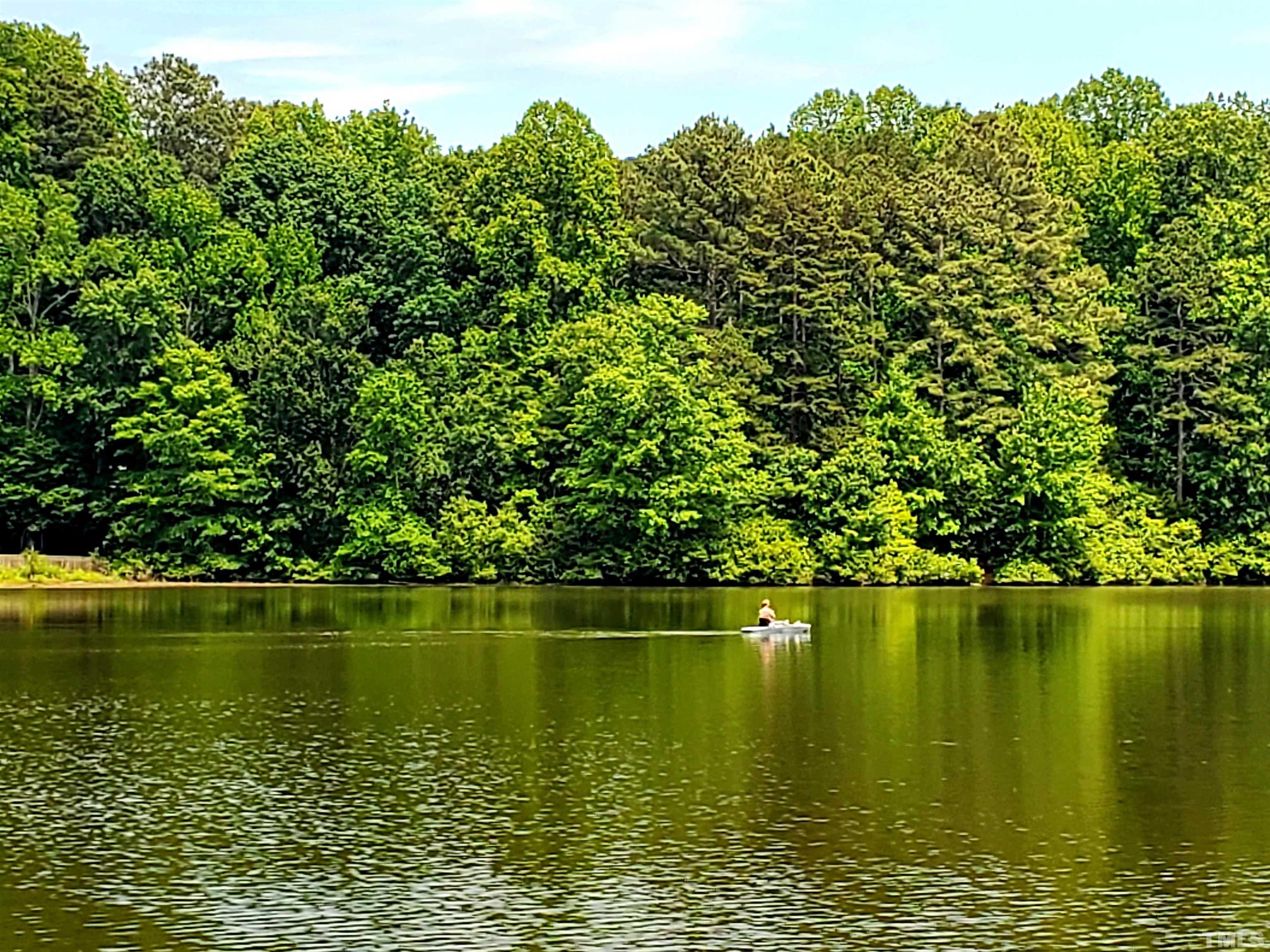 7236 Galon Glen Road Raleigh, NC 27613 - Photo 21 of 24 a view of a ocean view