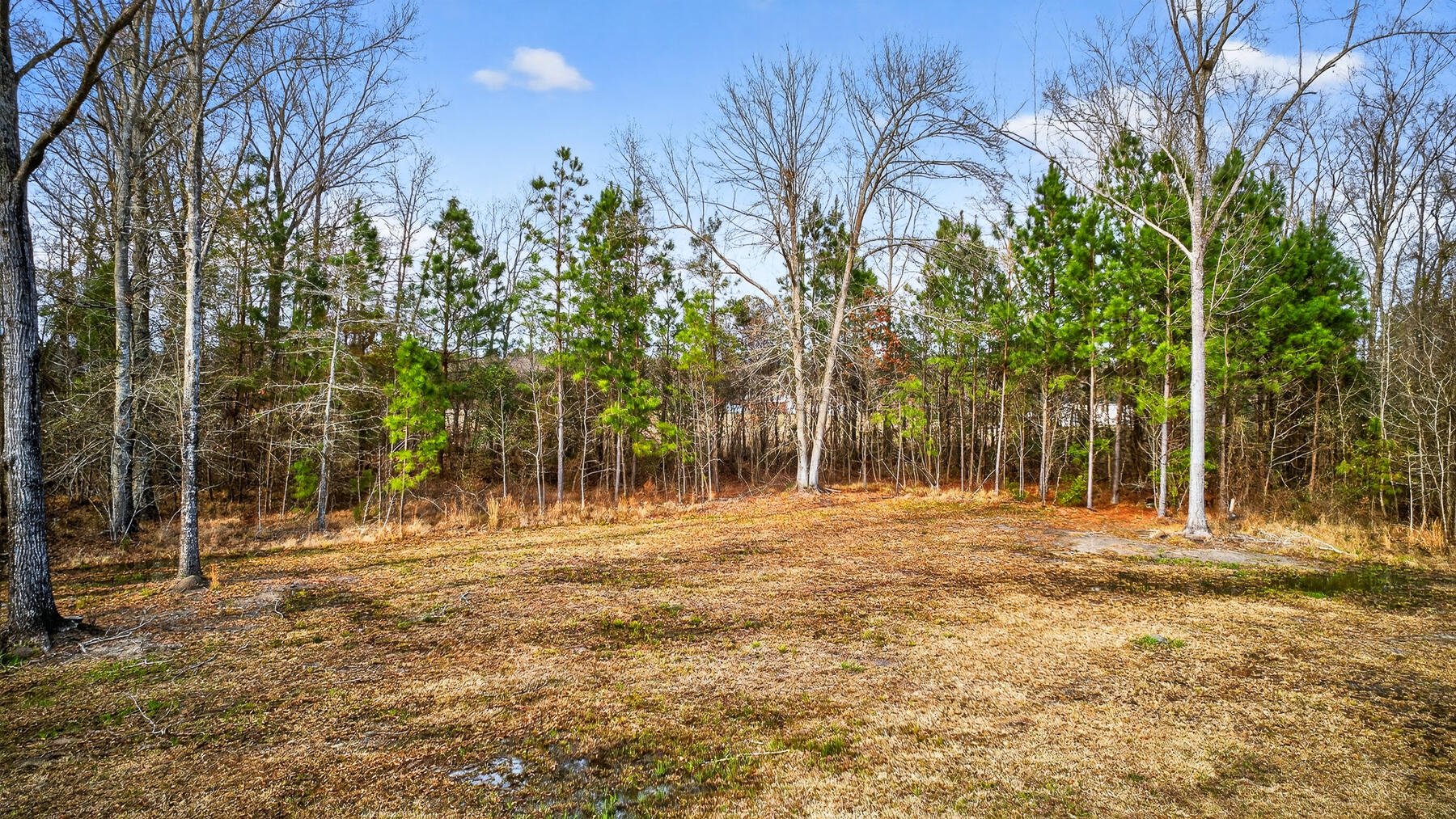 122 Chapelcross Road Vance, SC 29163 - Photo 1 of 57 DM-64