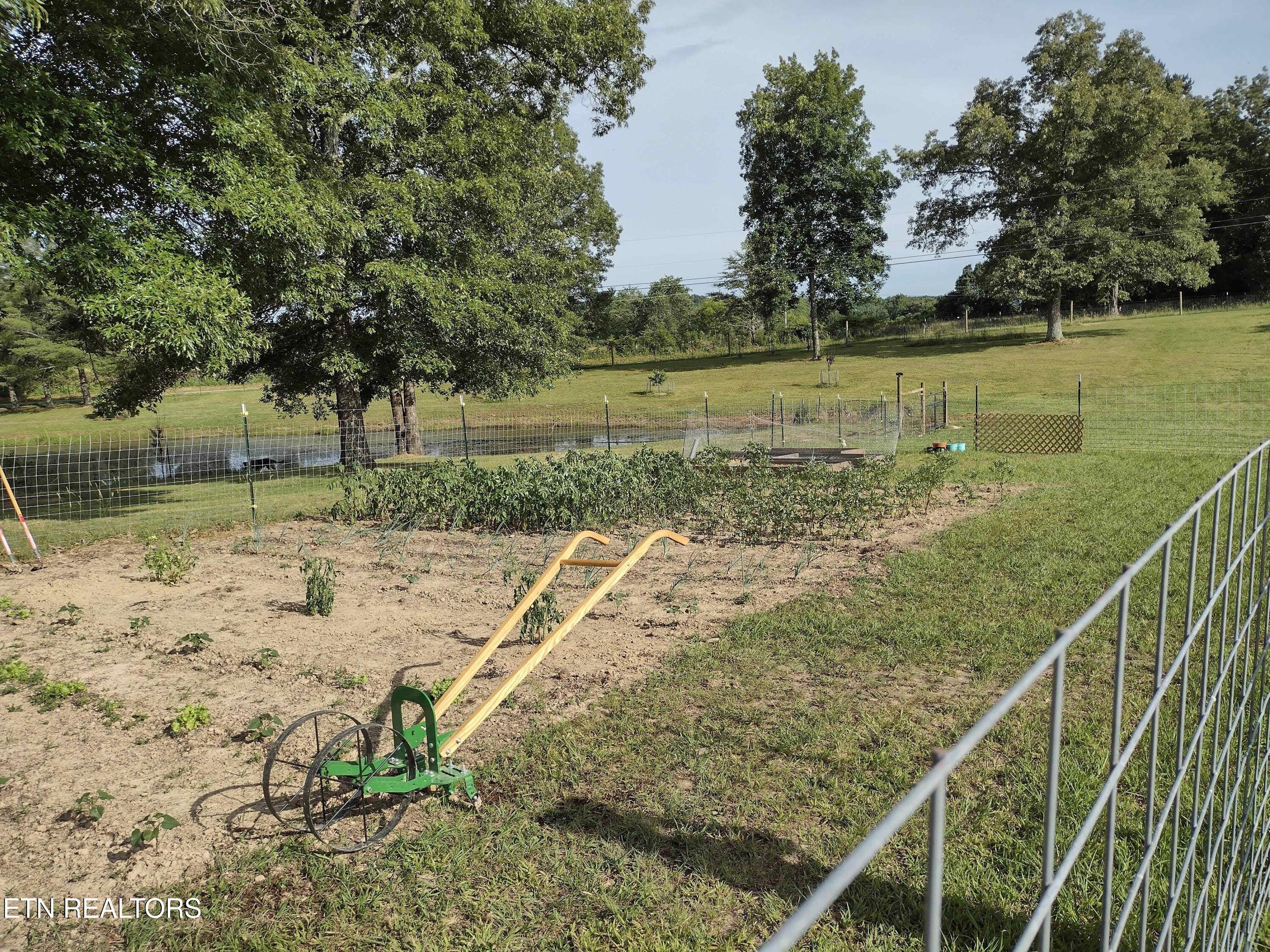 122 Frankfort Road Lancing, TN 37770 - Photo 54 of 60 Front Garden 2