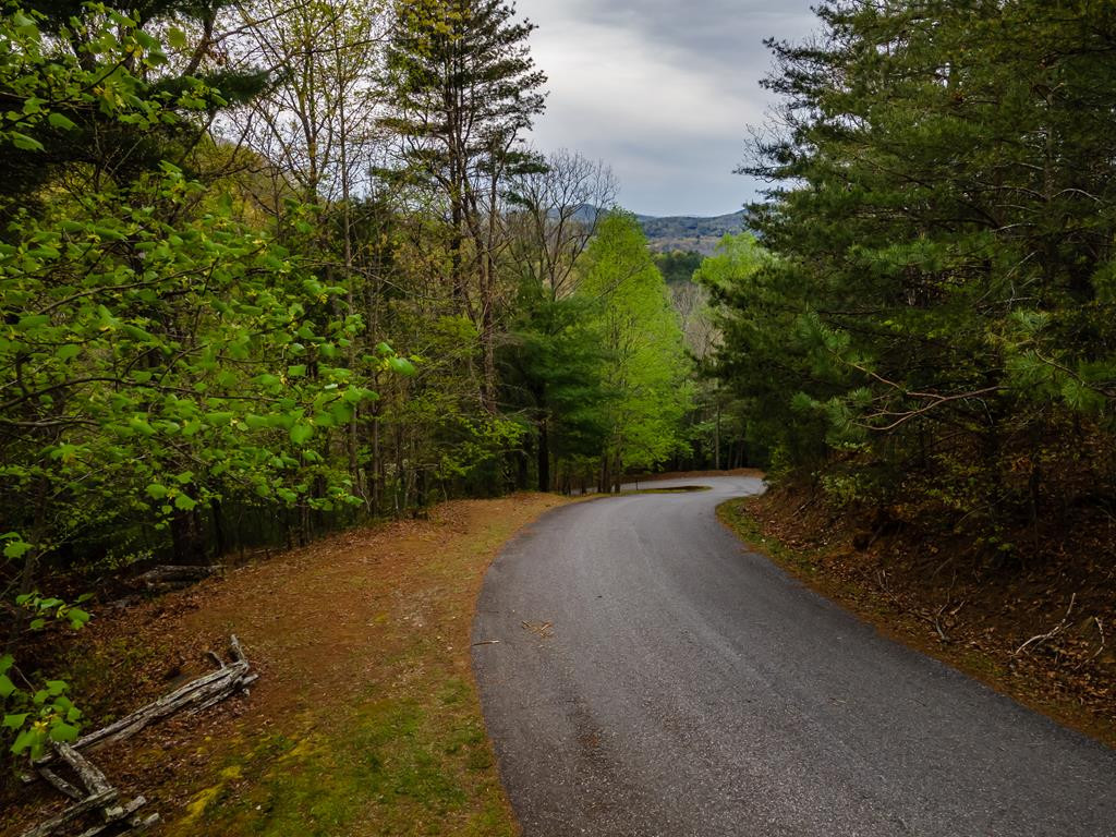 Lot 49 Ravens Ridge Mineral Bluff, GA 30559 - Photo 1 of 23 Main View