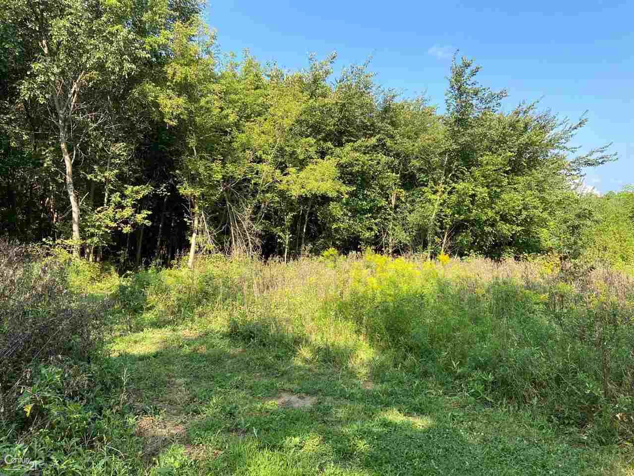 0 Marshall Road South Lyon, MI 48178 - Photo 15 of 29