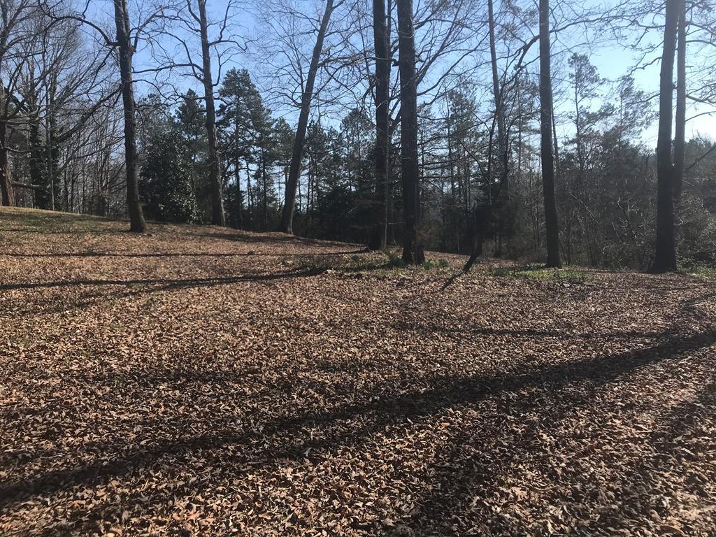 3 Northwest Old River Road Charleston, TN 37310 - Photo 1 of 5 20225166_0