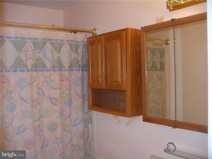 28 Comstock Road Edison, NJ 08817 - Photo 5 of 18 a bathroom with a shower curtain and a window