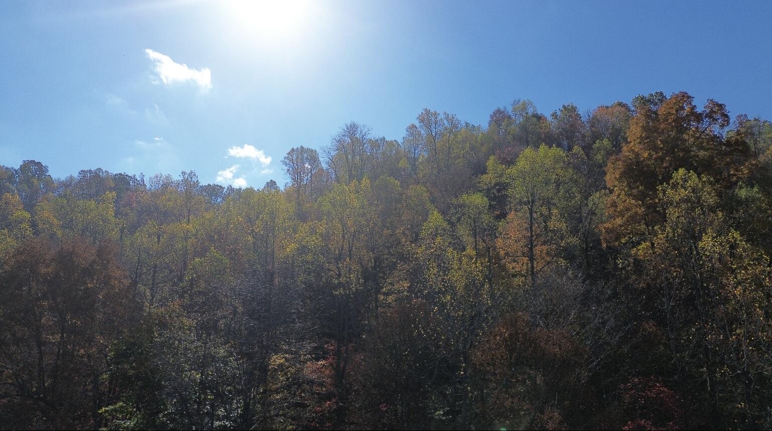 0 Gander Branch Road Vanceburg, KY 41179 - Photo 23 of 45 IMG_5995