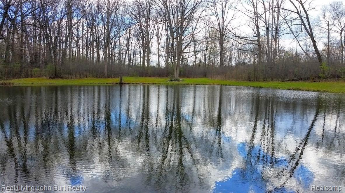 4113 Morgan Road Lake Orion, MI 48359 - Photo 31 of 41 POND IS OVER 10 FEET DEEP