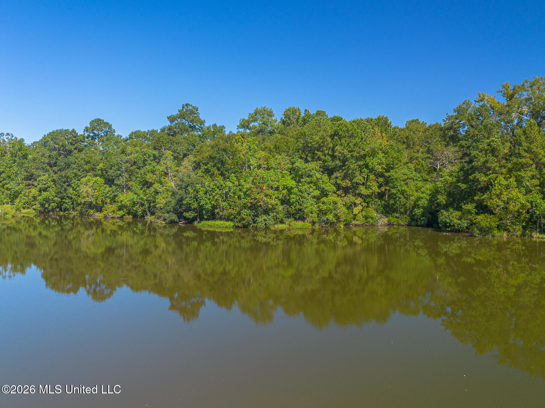 88 Virgil Lewis Road West Carriere, MS 39426 - Photo 53 of 55 Aerials-3