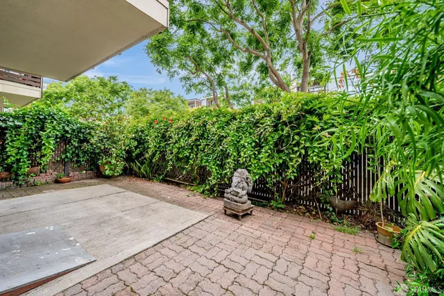 a view of a backyard with potted plants and large trees