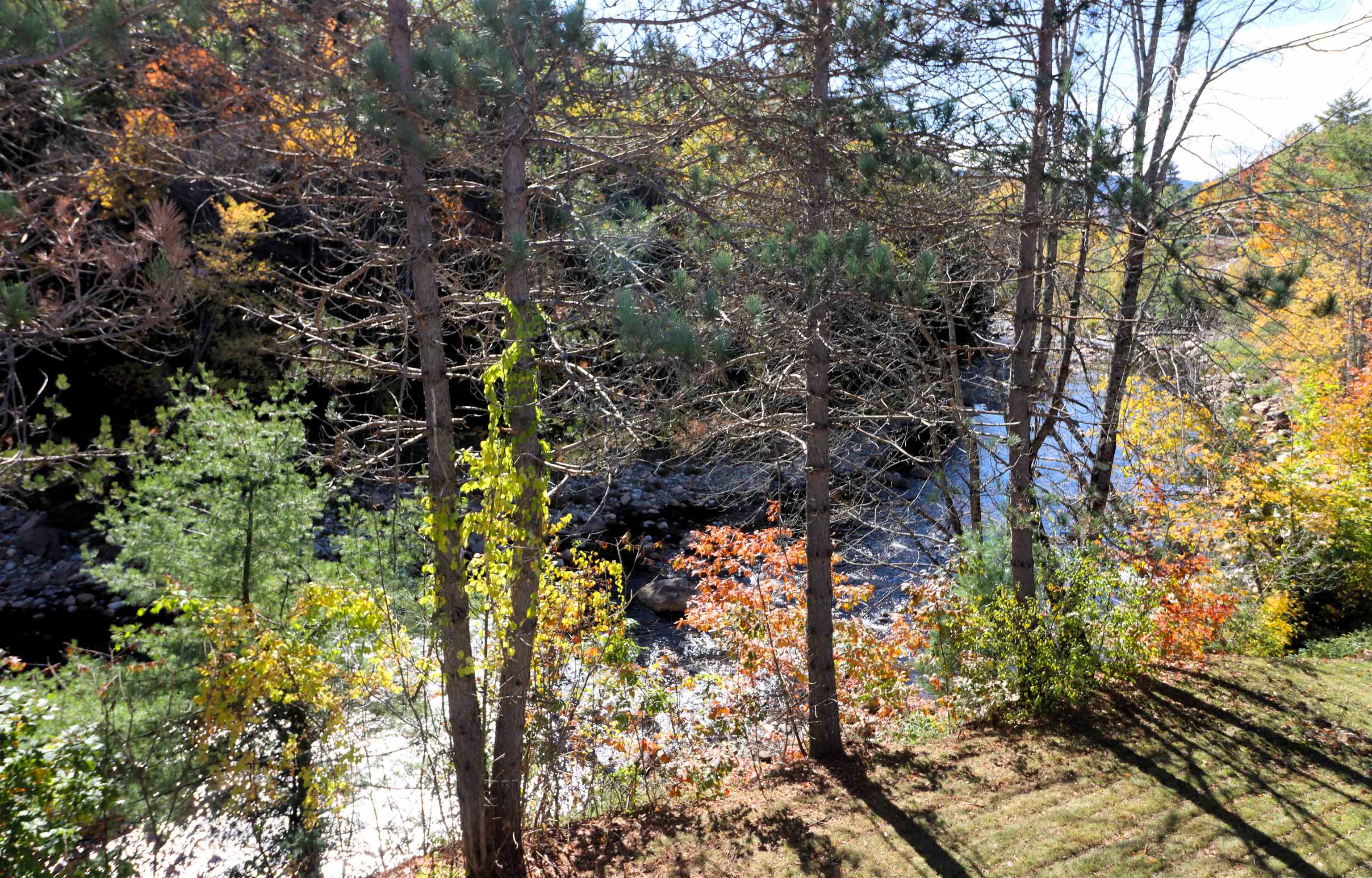 34 Rivers Bend Road Intervale, NH 03845 - Photo 5 of 19