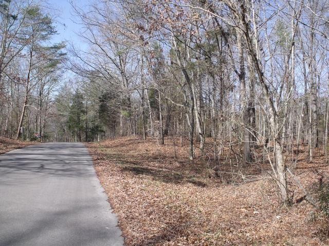 54 County Road 147 Riceville, TN 37370 - Photo 2 of 2 Gallery Image 2