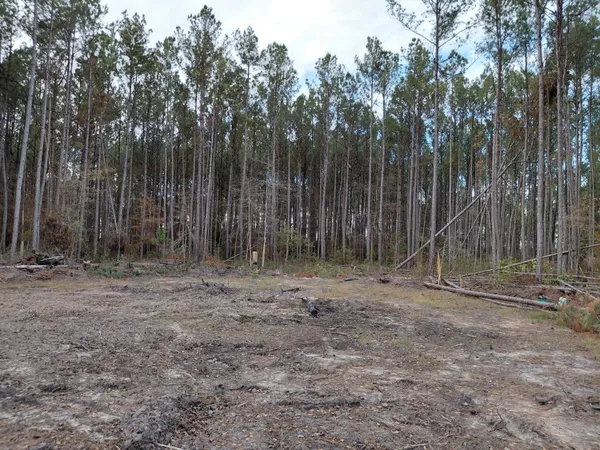 $25,000 | 0 St Road, Walterboro, SC 29488