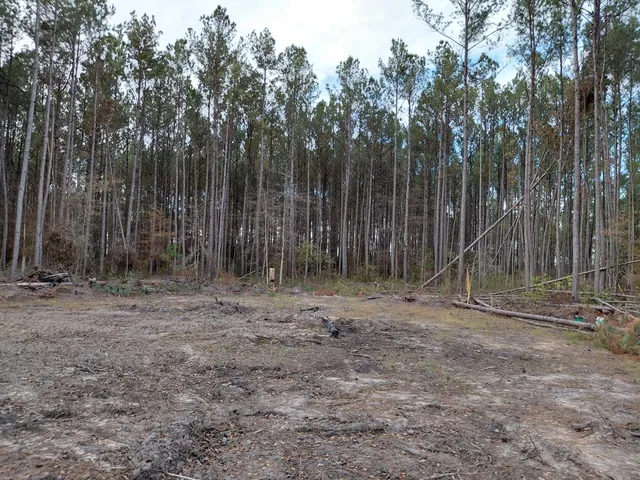 $75,000 | 0 State Rd S-15-50, Walterboro, SC 29488