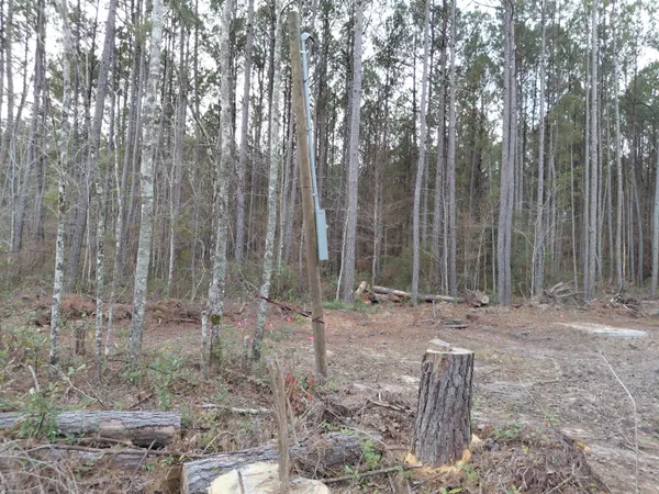 $25,000 | 0 St Road, Walterboro, SC 29488