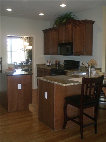 101 Fox Farm Way Greer, SC 29651 - Photo 9 of 16