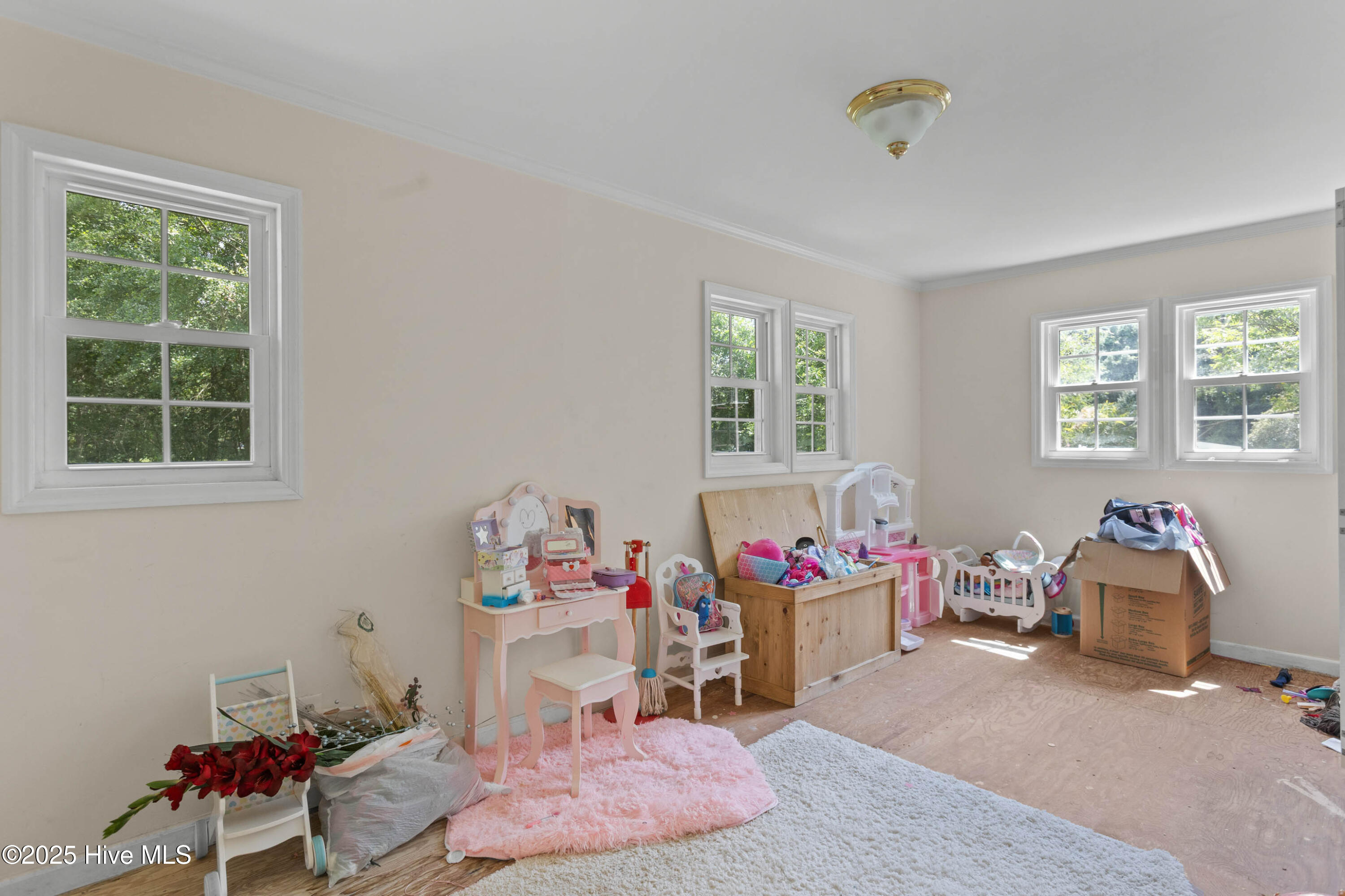 653 Seth Turner Road Albertson, NC 28508 - Photo 20 of 27 20