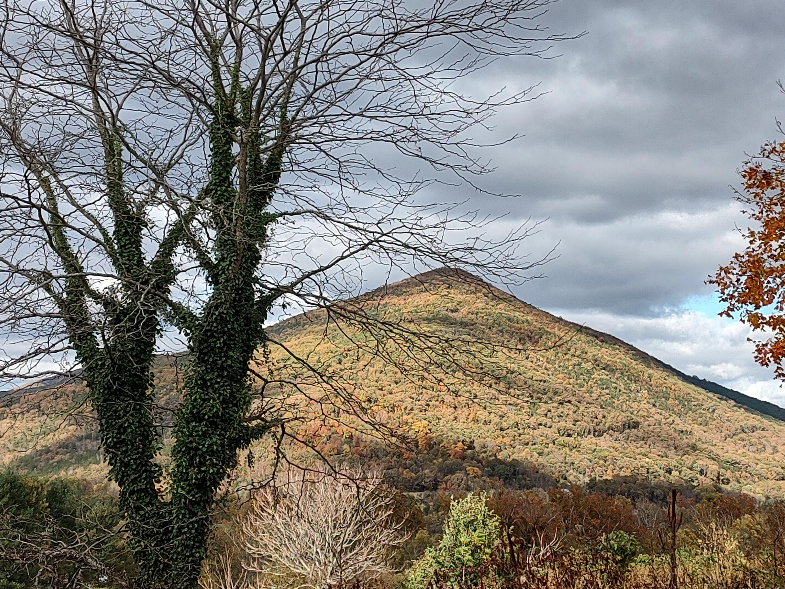 17749 Main Street Buchanan, VA 24066 - Photo 41 of 58 a view of mountains
