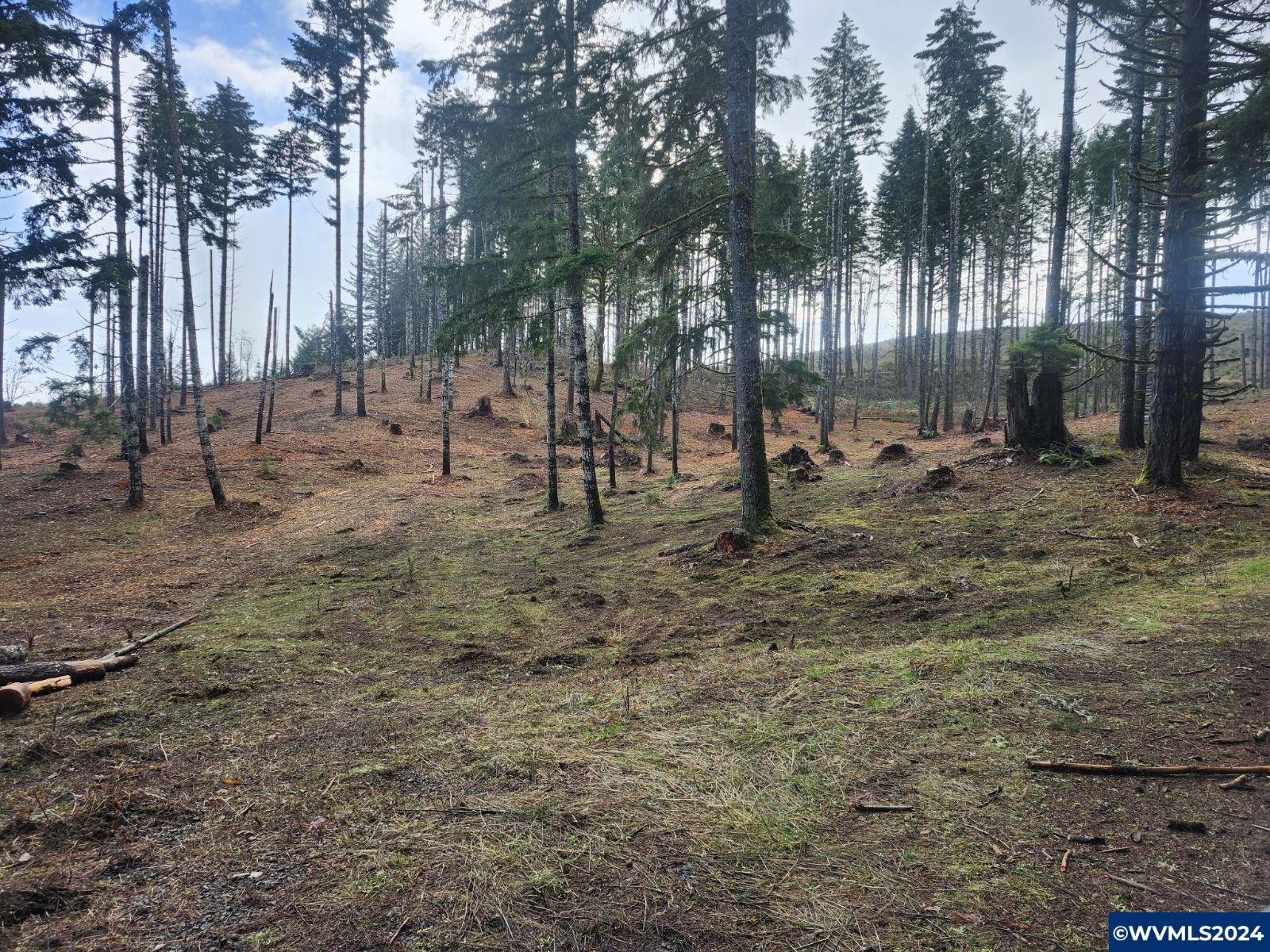 Old Peak Road Philomath, OR 97370 - Photo 2 of 2