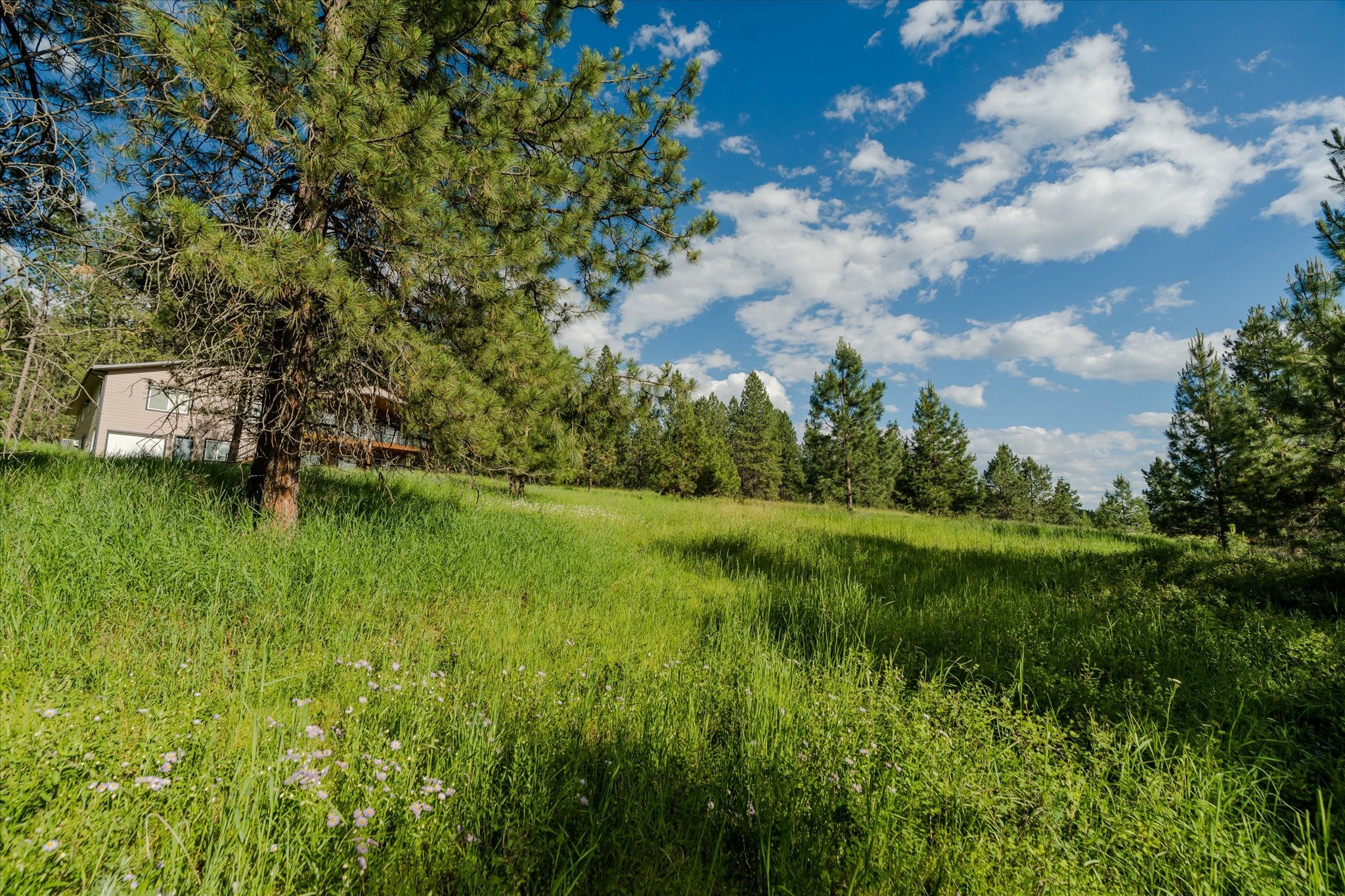 42439 Canal Road Ronan, MT 59864 - Photo 56 of 81 Gallery Image 56