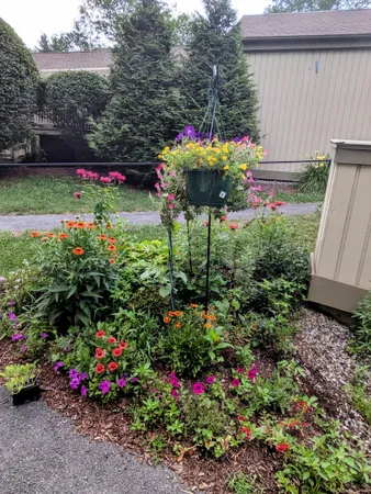 a view of a backyard with plants and flowers