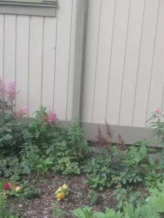 a view of a backyard with plants and wooden fence