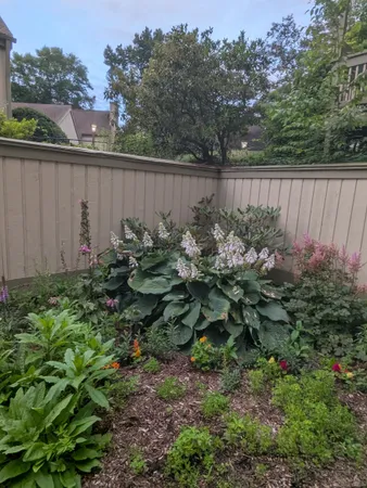 a backyard of a house with lots of plants and wooden fence