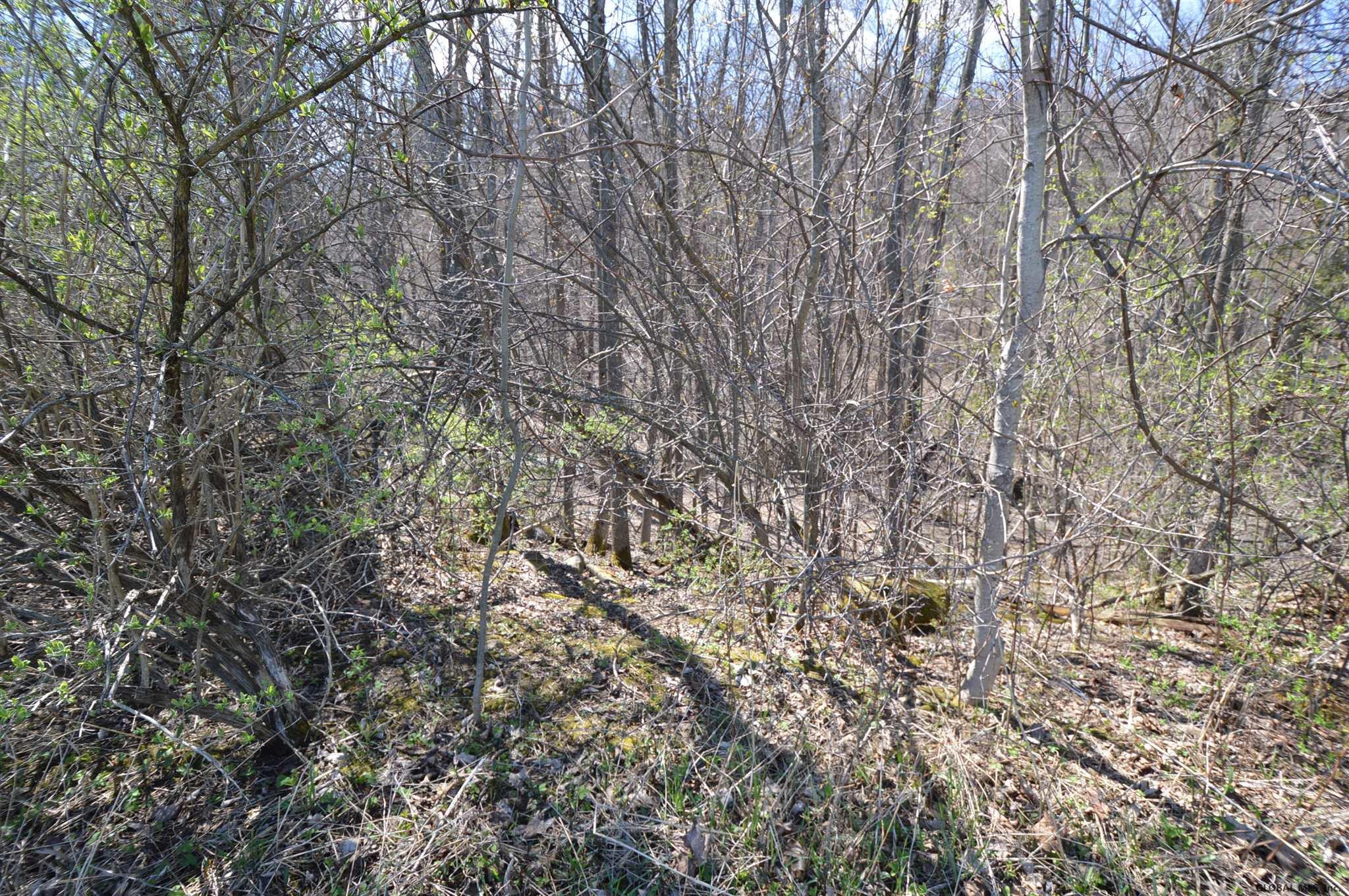 7 Hughes Road Fultonville, NY 12072 - Photo 9 of 17 Photo 10