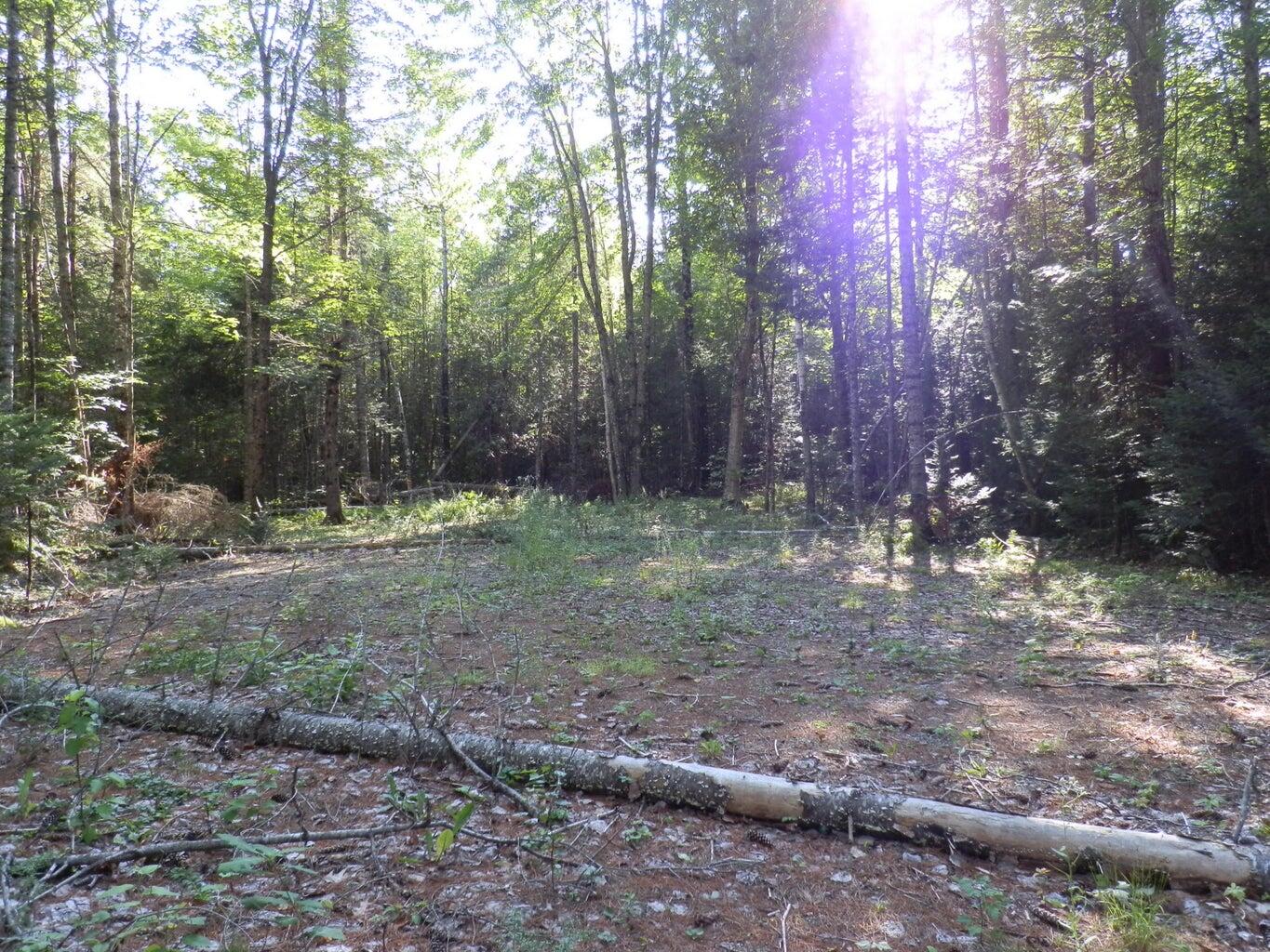0 Cross Road Greenbush, ME 04418 - Photo 5 of 25 20190826190934960586000000-o