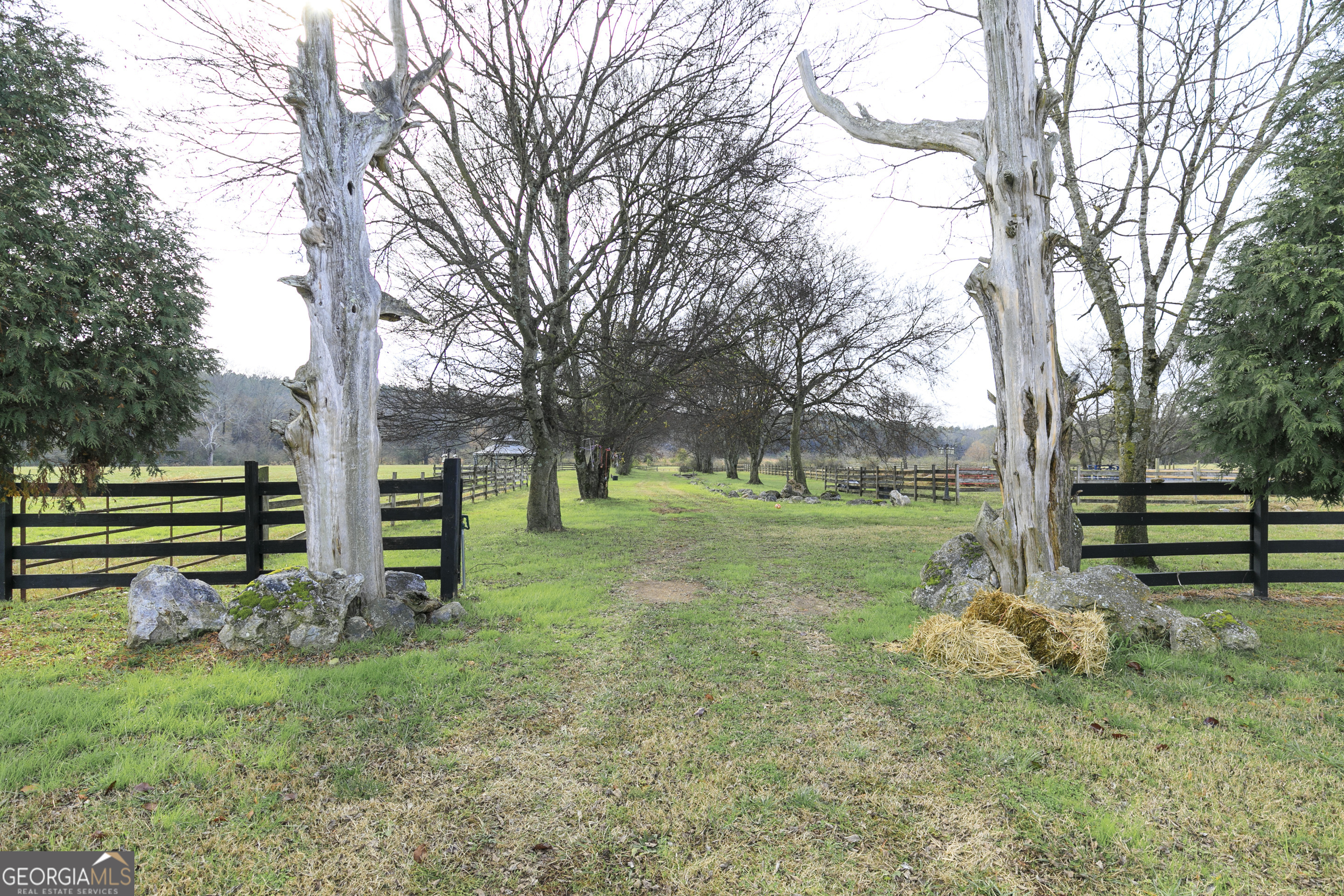 1907 Old Cedartown Road Cedartown, GA 30125 - Photo 42 of 83 a view of a park with large trees