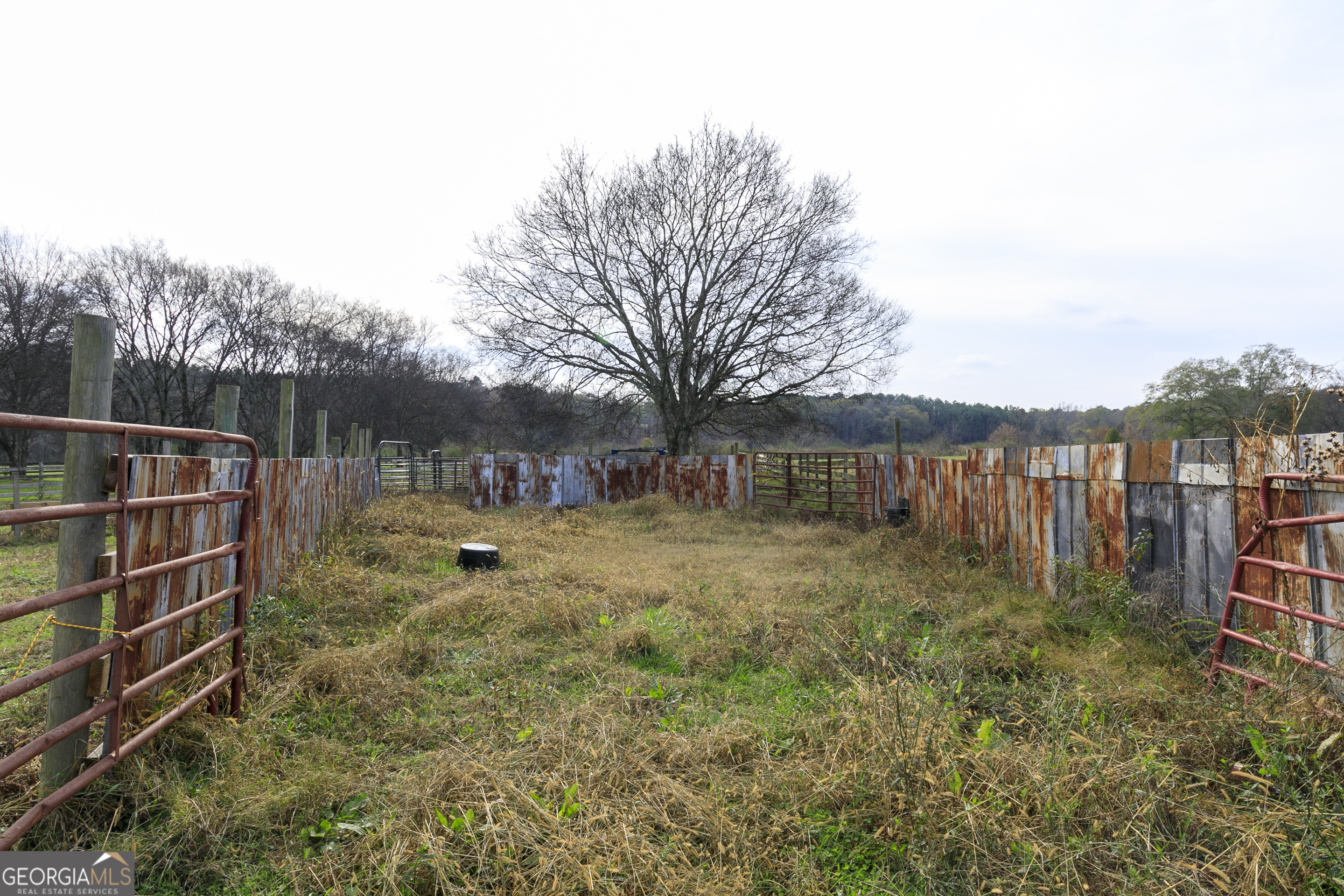 1907 Old Cedartown Road Cedartown, GA 30125 - Photo 46 of 83 a backyard of a house with lots of green space