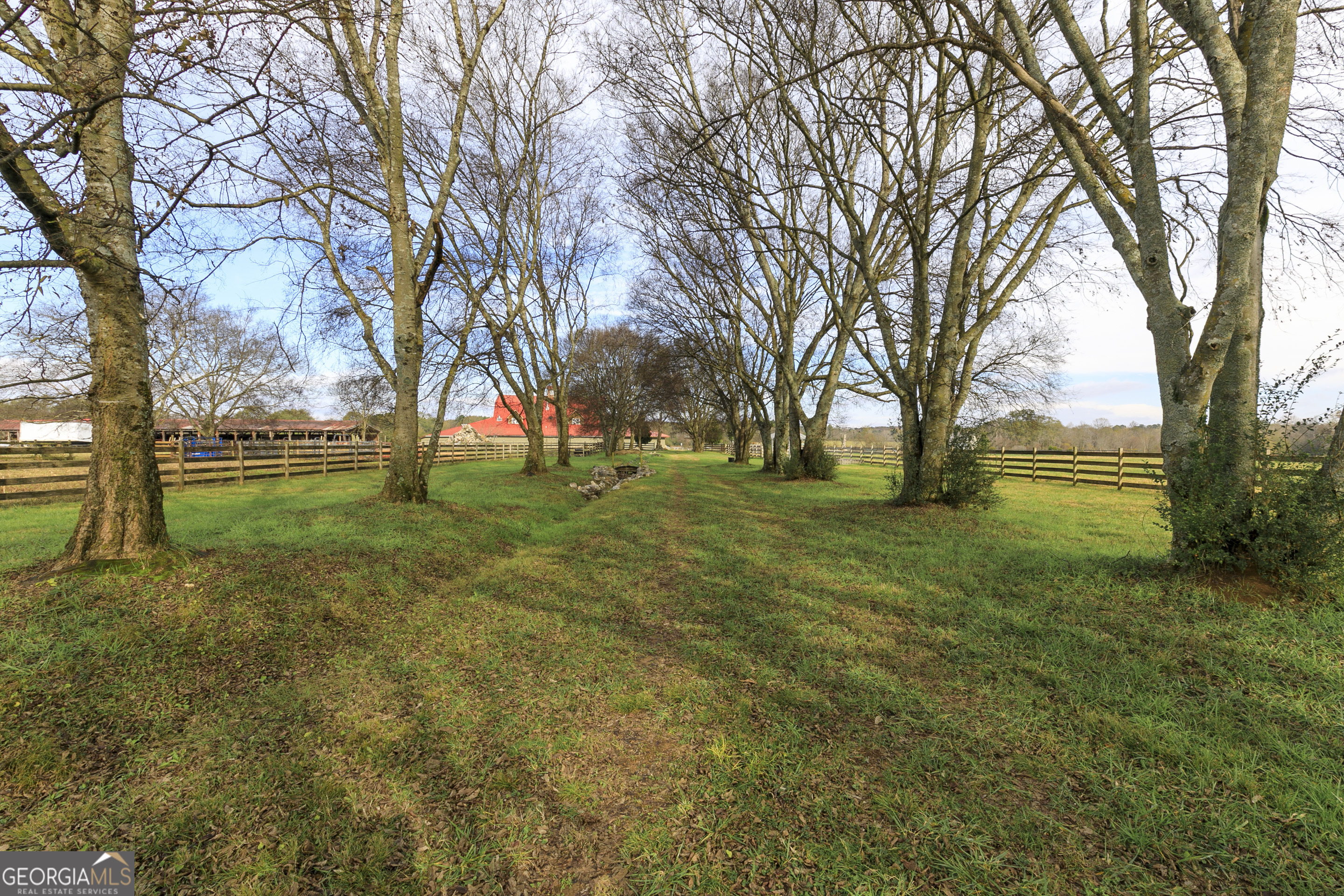 1907 Old Cedartown Road Cedartown, GA 30125 - Photo 54 of 83 a view of yard with trees