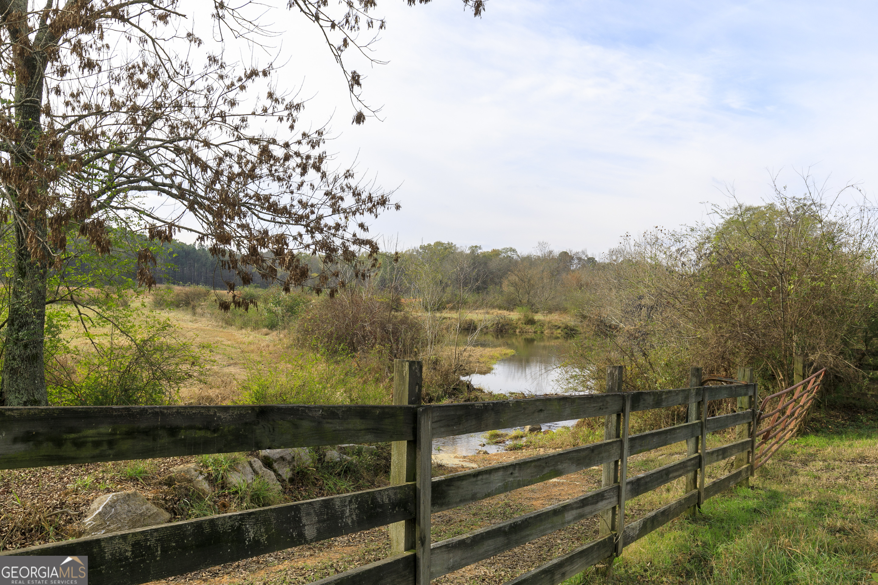 1907 Old Cedartown Road Cedartown, GA 30125 - Photo 57 of 83 a view of a lake from a yard