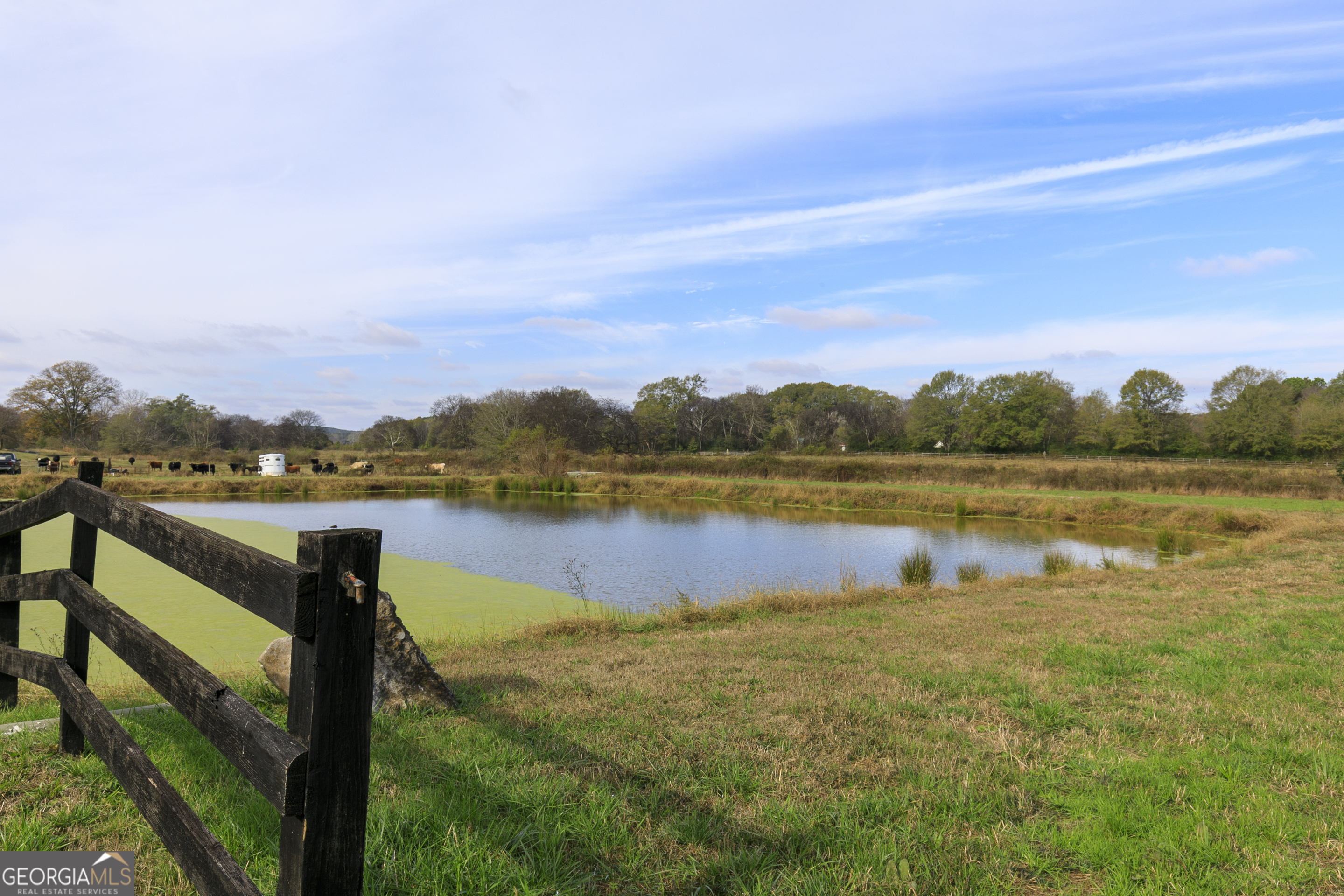 1907 Old Cedartown Road Cedartown, GA 30125 - Photo 61 of 83 a view of a lake with houses in the back