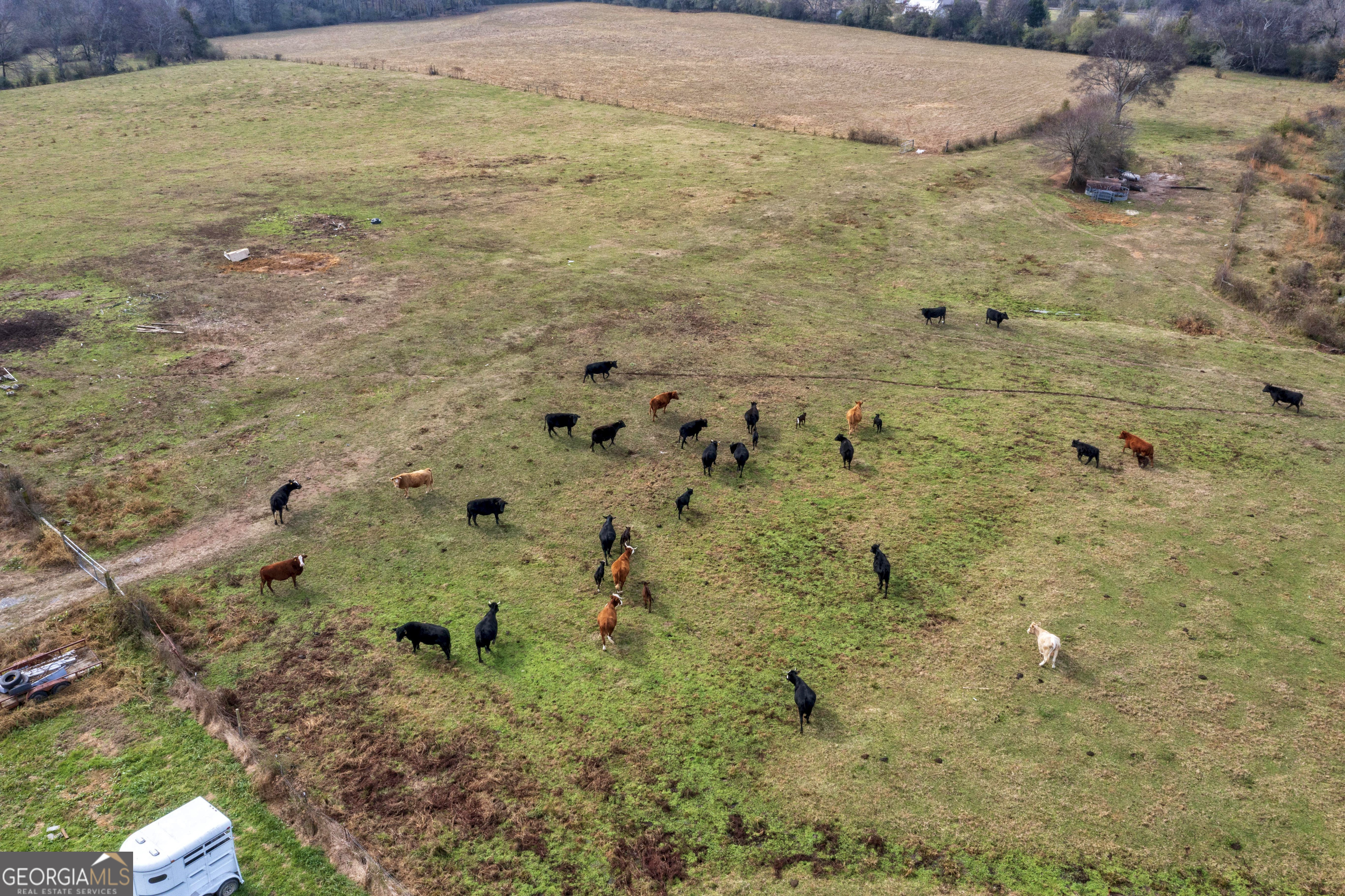 1907 Old Cedartown Road Cedartown, GA 30125 - Photo 80 of 83