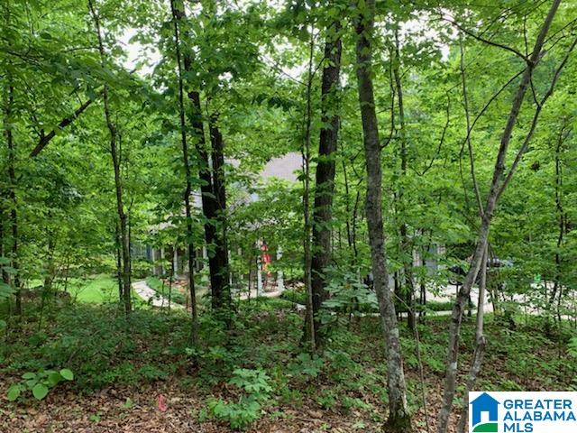 65 Ridgecrest Lane Trussville, AL 35173 - Photo 28 of 35 Gallery Image 28