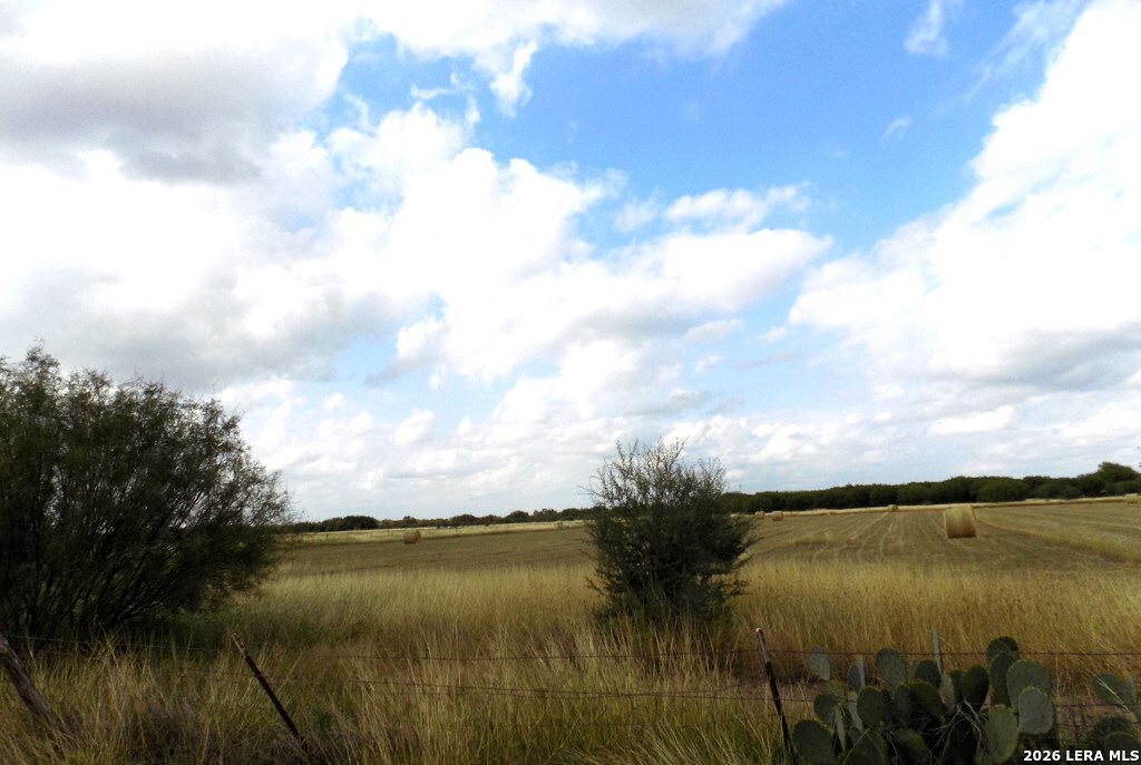 1175 Moses Road Quemado, TX 78877 - Photo 3 of 5