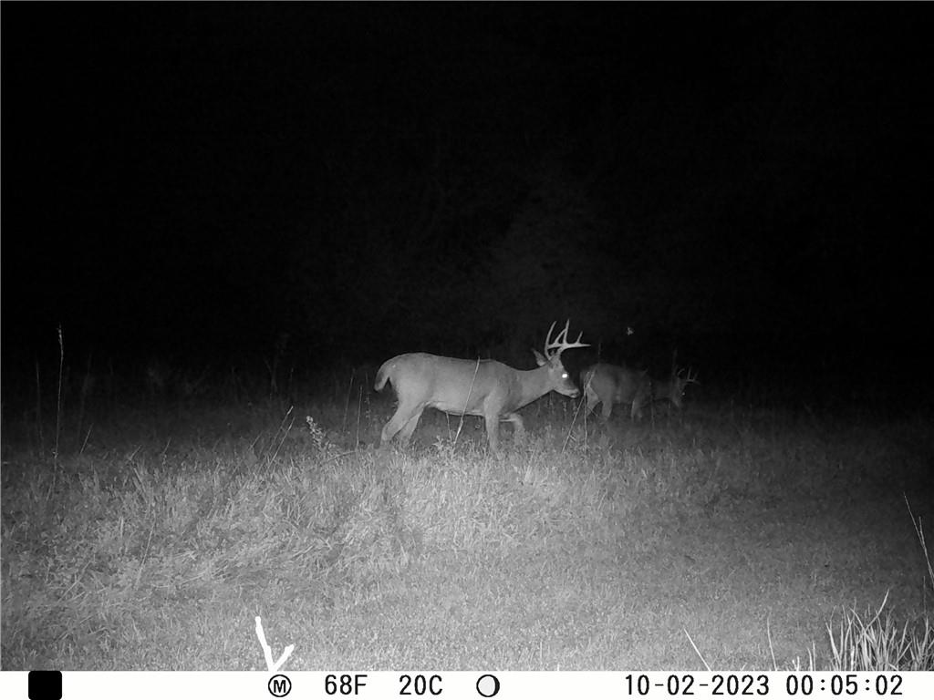 Southeast 321st Road Leeton, MO 64761 - Photo 67 of 75
