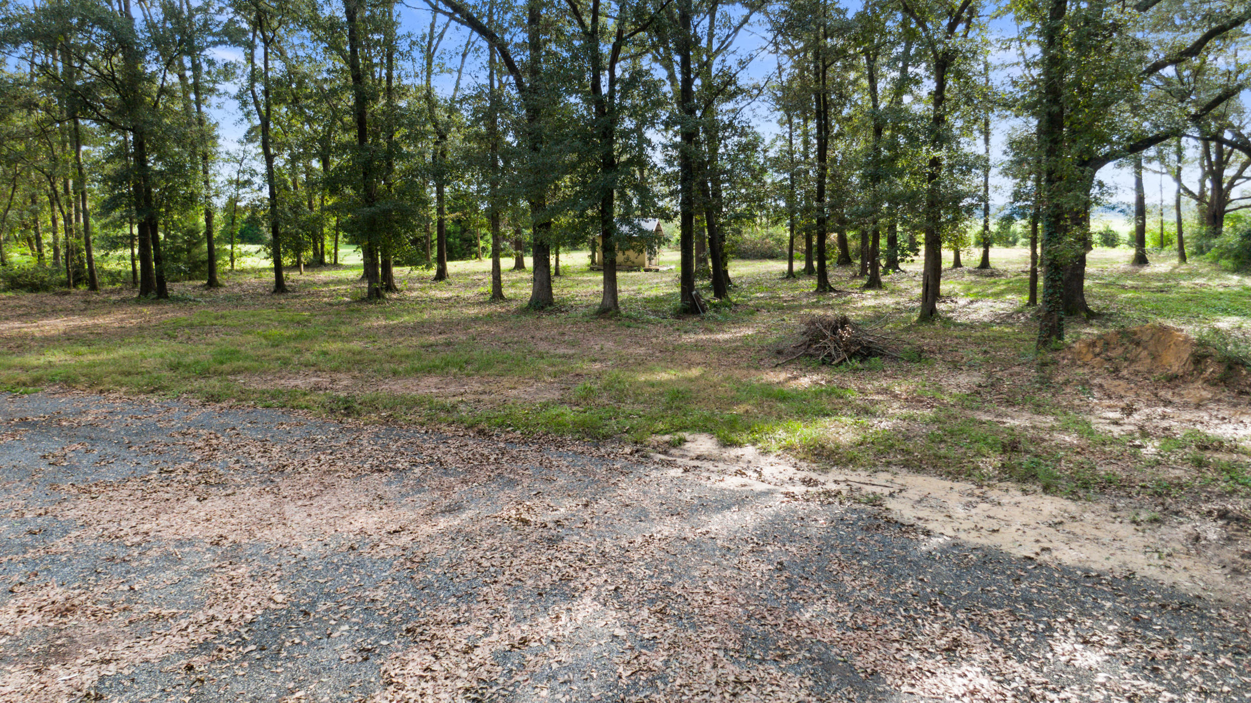 5975 Jack Stokes Road Baker, FL 32531 - Photo 41 of 44 a view of park with trees