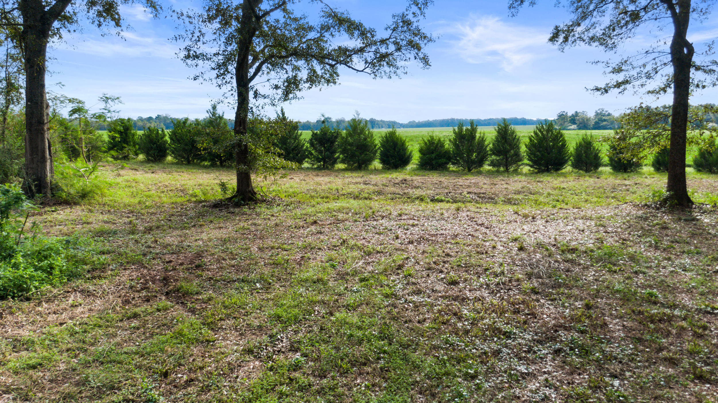5975 Jack Stokes Road Baker, FL 32531 - Photo 42 of 44 a view of a yard with a tree