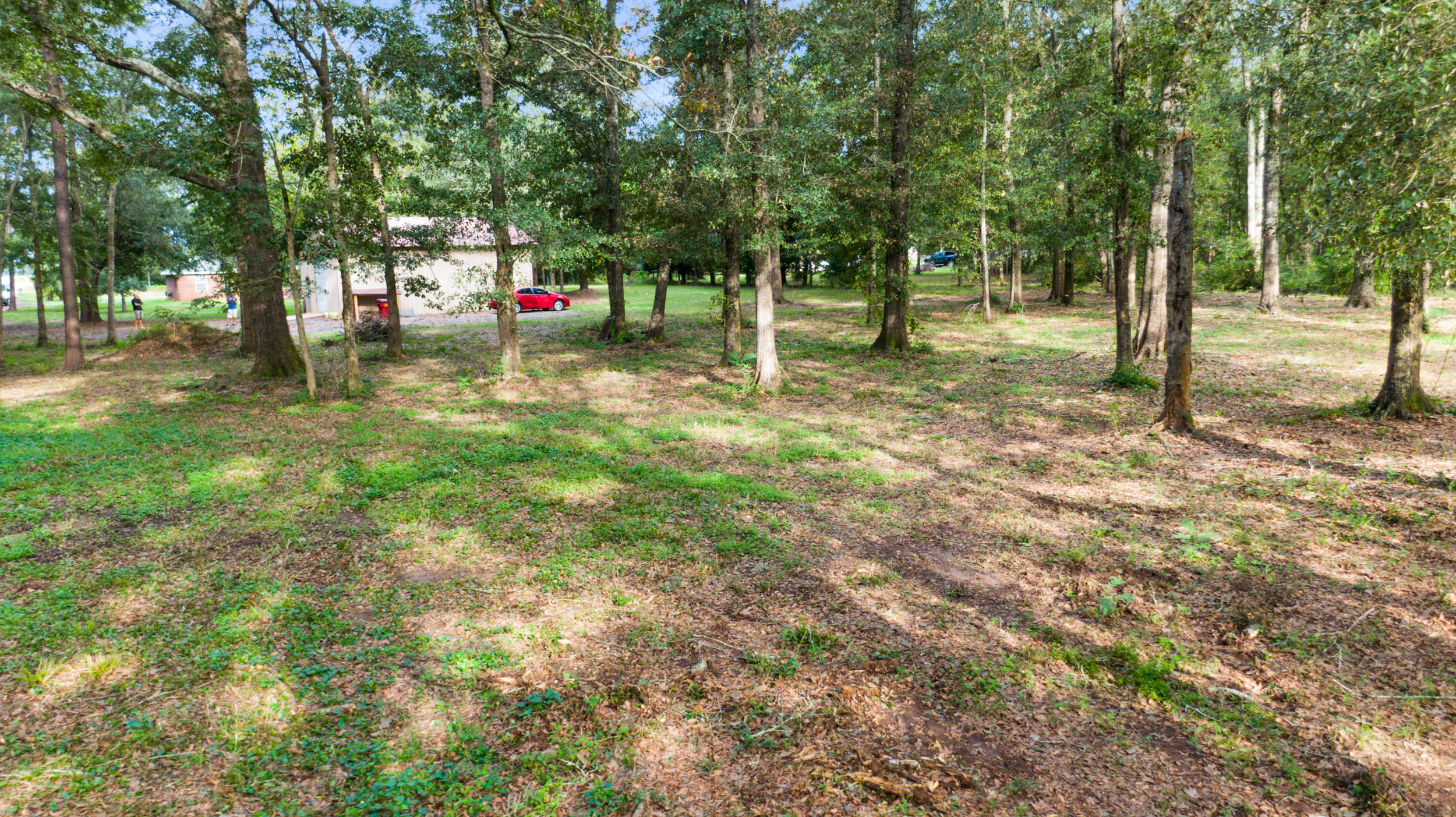 5975 Jack Stokes Road Baker, FL 32531 - Photo 43 of 44 a view of park with trees