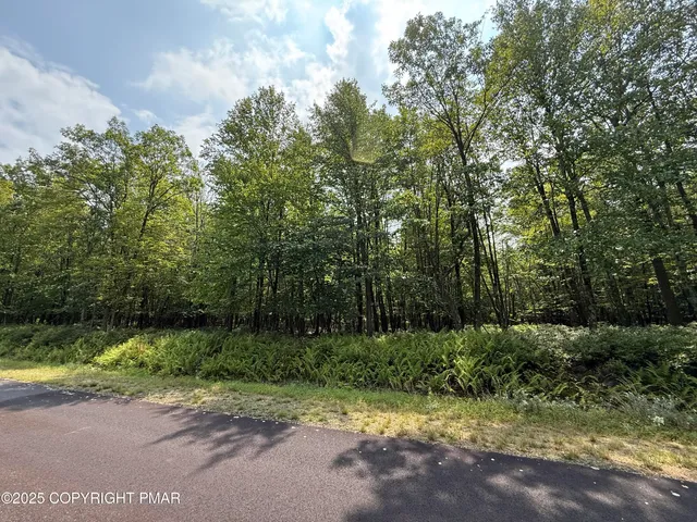 a view of a road with a trees