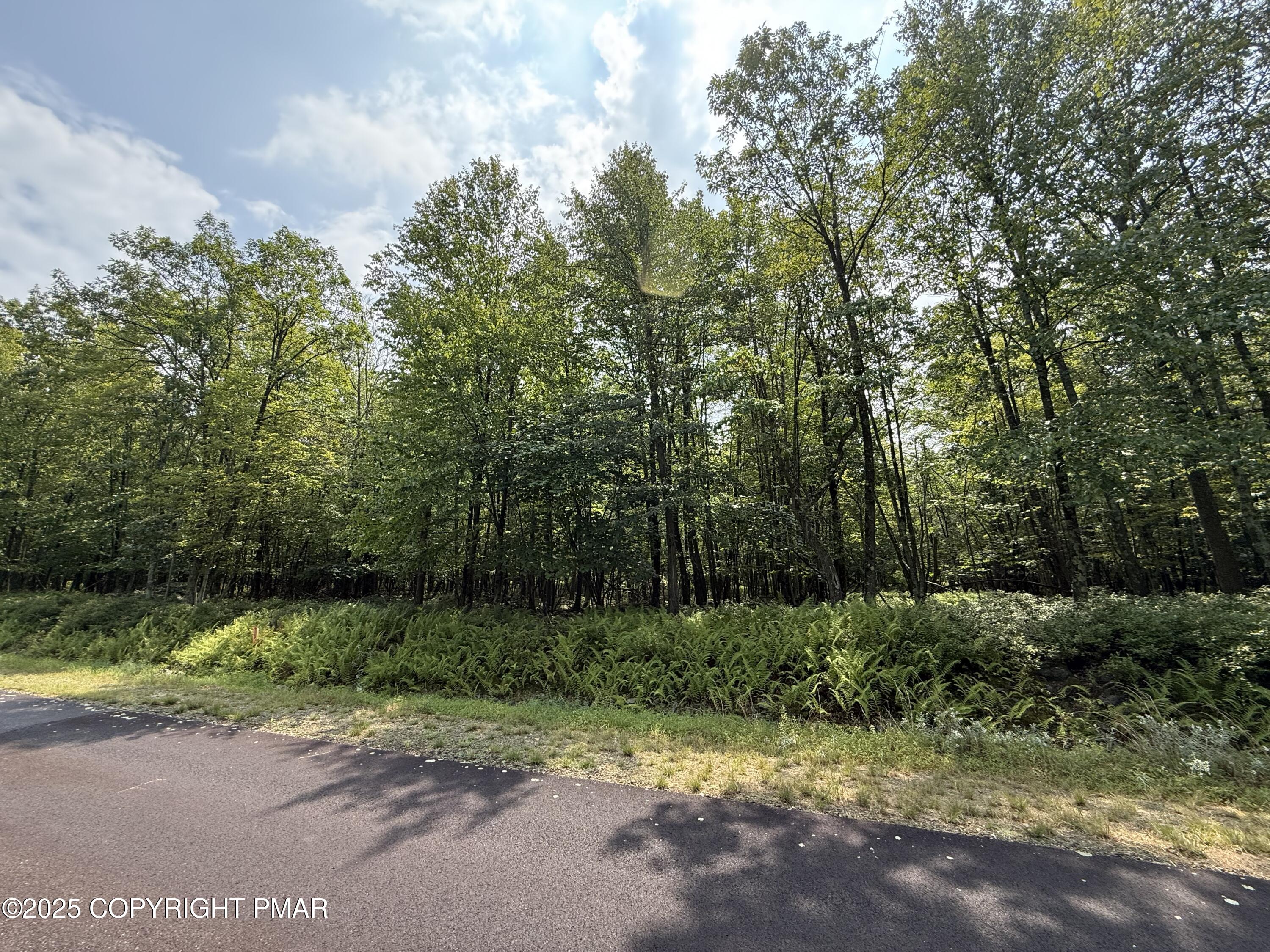 255 R Laurel Valley Drive Sugarloaf, PA 18249 - Photo 13 of 16 IMG_6550