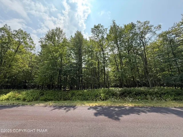 a view of backyard with outdoor space