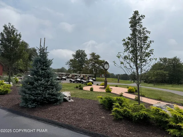 a view of a park with large trees