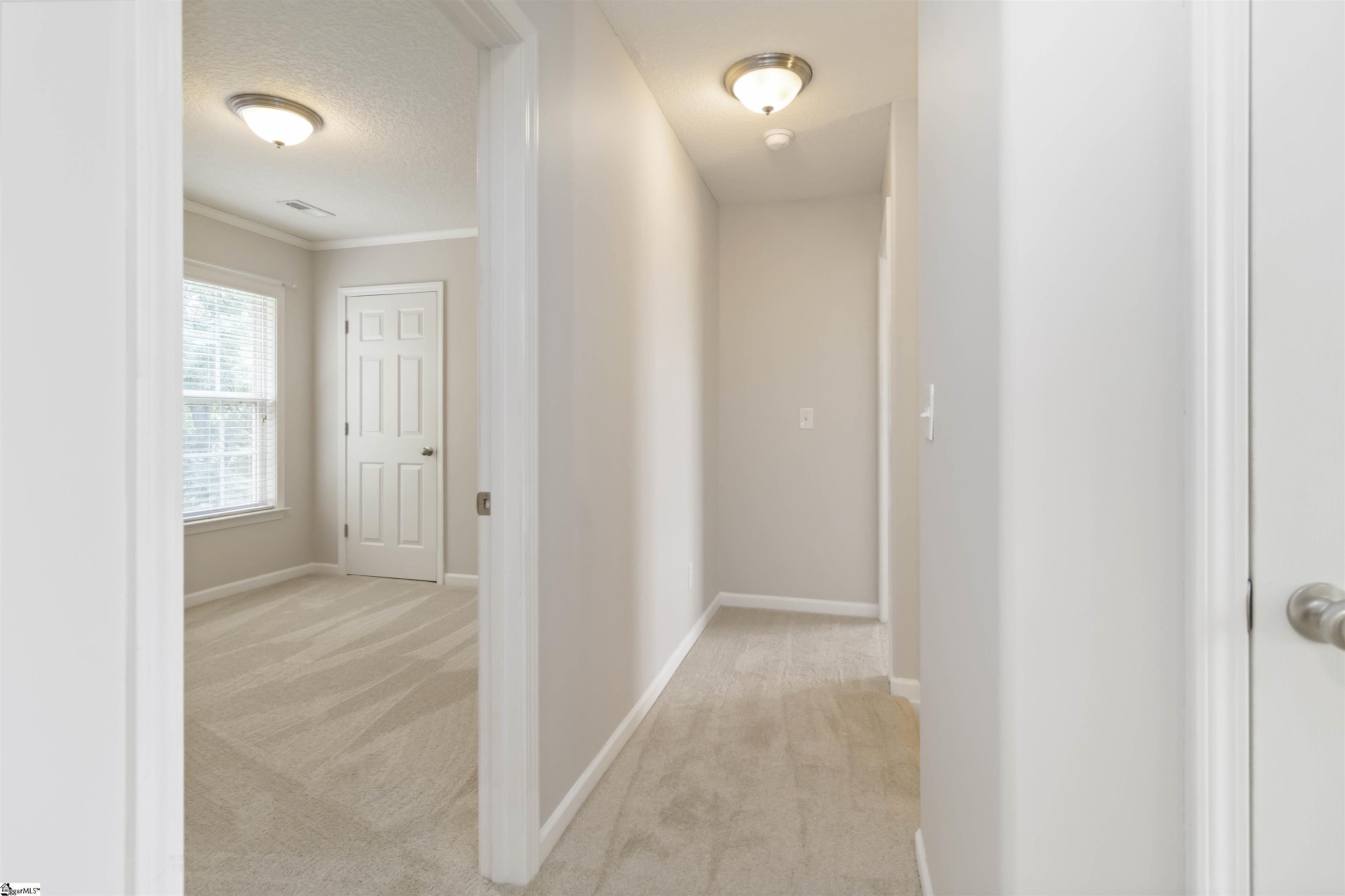 19 Tigris Way Greenville, SC 29607 - Photo 39 of 47 Gallery Image 39
