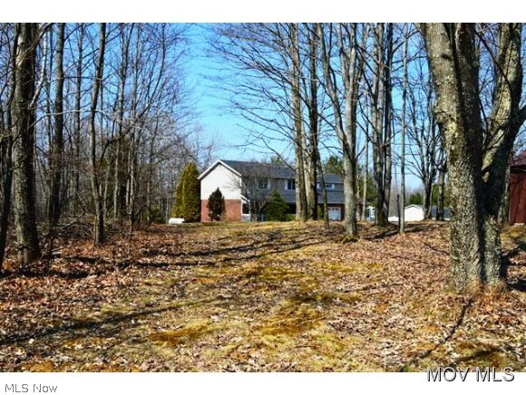 1385 Point Lookout Road Stockport, OH 43787 - Photo 6 of 24 Left View
