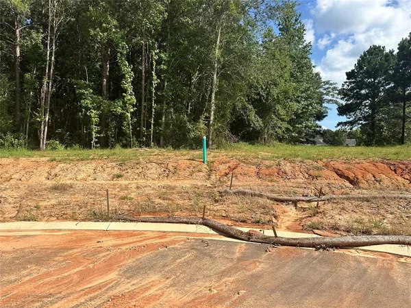 a view of a backyard of the house
