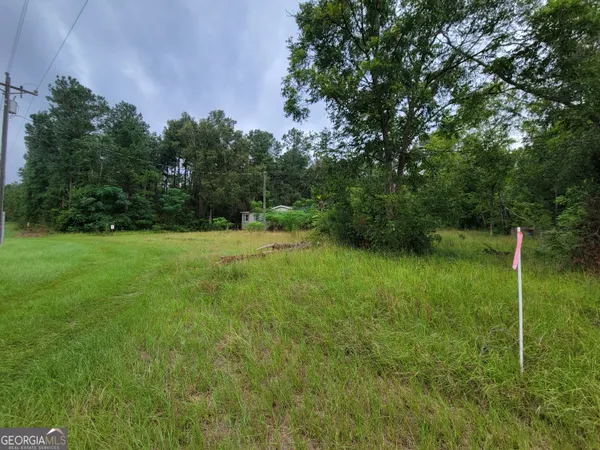 a view of a grassy field with trees in the background